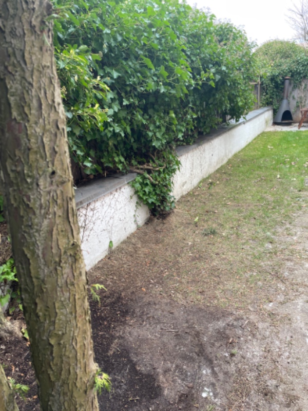 Murværk i haven skal ordnes for