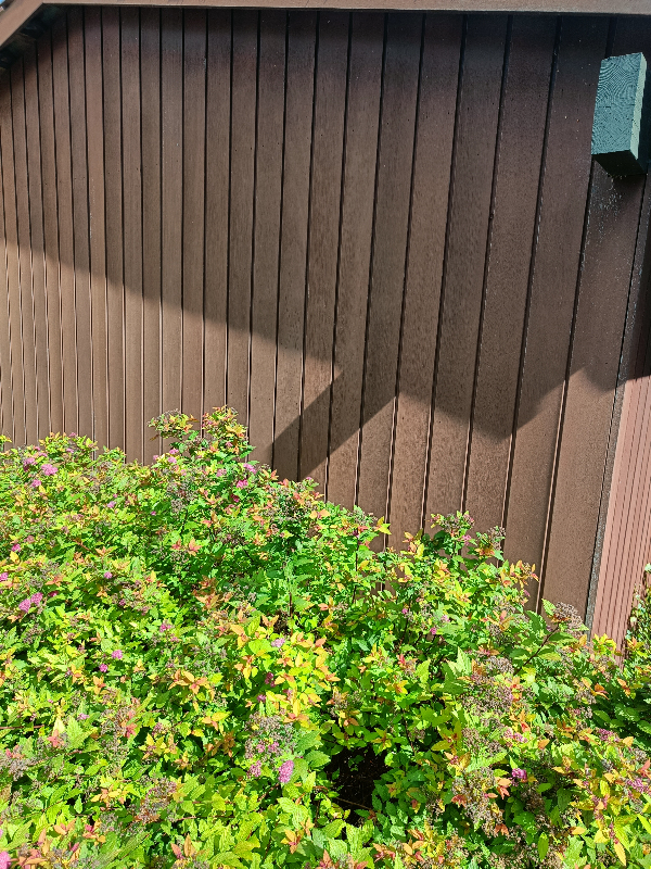 Afslibning af overfladebehandling på skur/carport