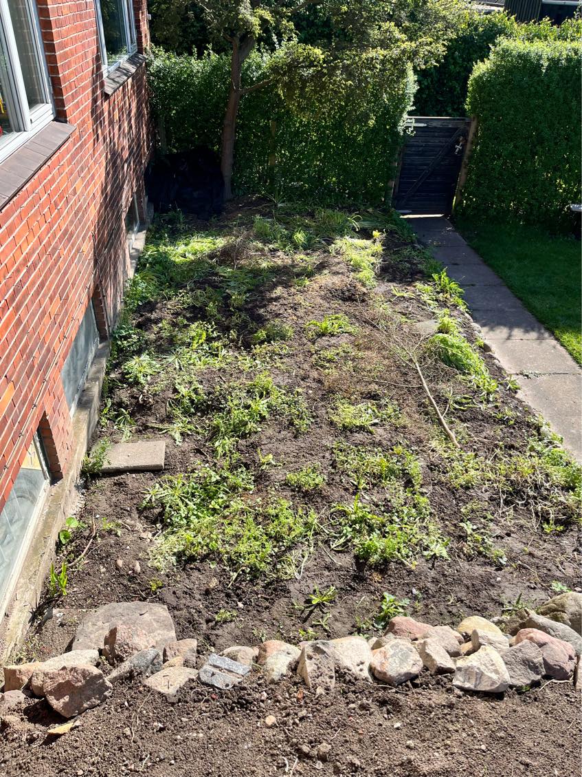 Bortskaffelse af jord