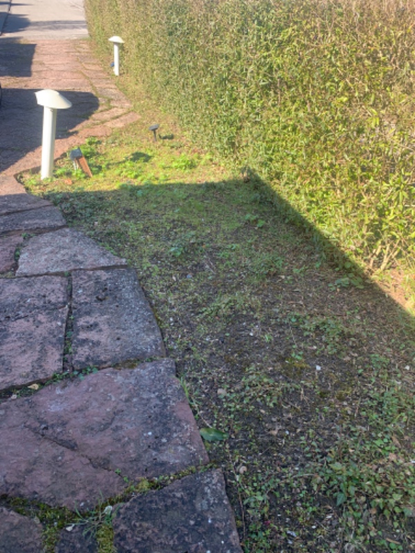 Forårsklargøring af haven samt klip af stor troldhassel