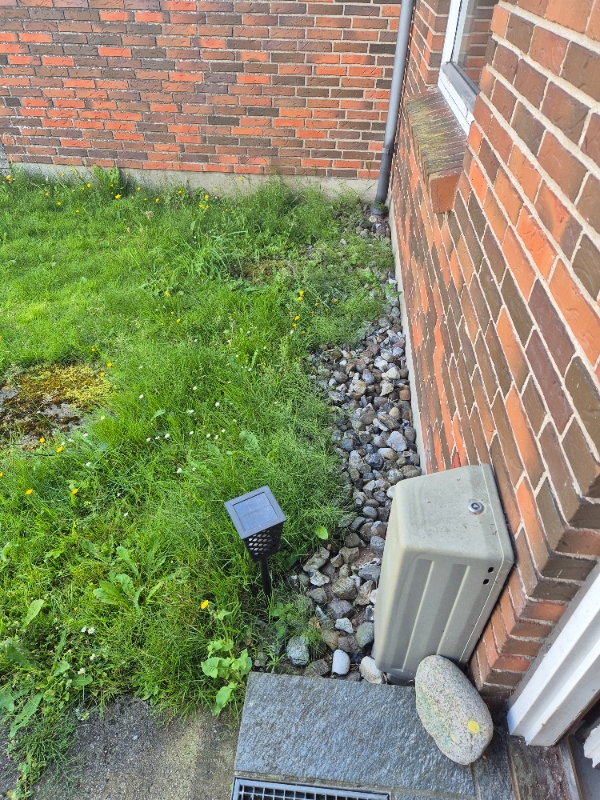 Hækkeklipning og fjernelse af ukrudt