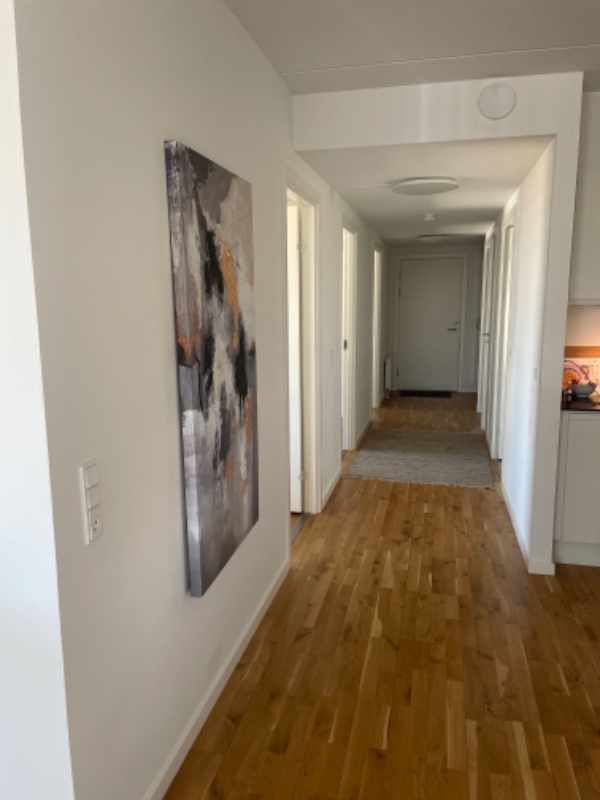 Maler gangen i glans