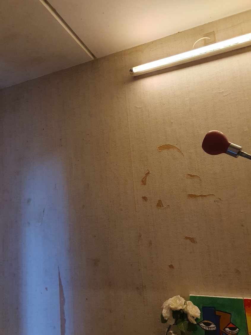 Fejrnelsen af tapet og maling af et værelse