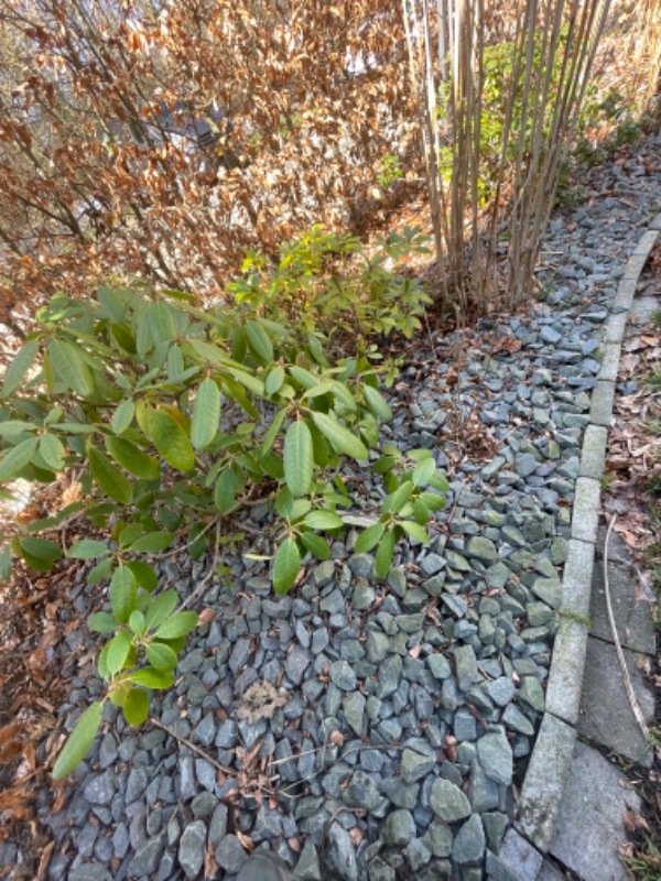 Fjernet dsb sten i bed i have.  Svarende til 1 Big bag