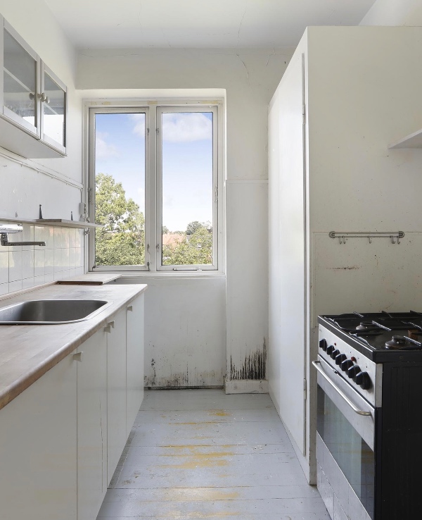 Fjernelse af skimmelsvamp