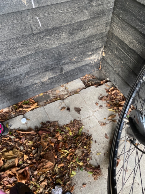 Reparation af belægning og fliserensning i Kastrup