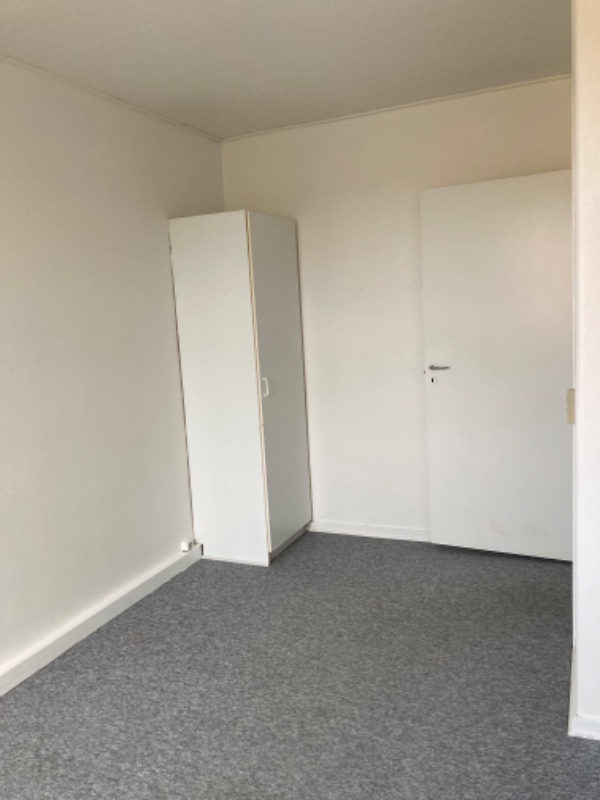 Lægge 60m2 laminatgulv og lister