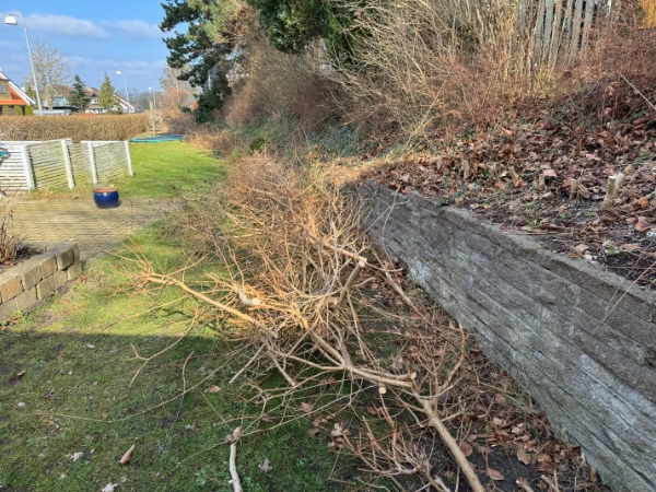 Fjernet haveaffald (inkl. hæk der er skåret ned)
