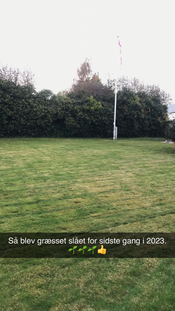 Beskæring af 12 høje træer i baghaven som danner skel til naboen. De afskårede grene skal køres væk