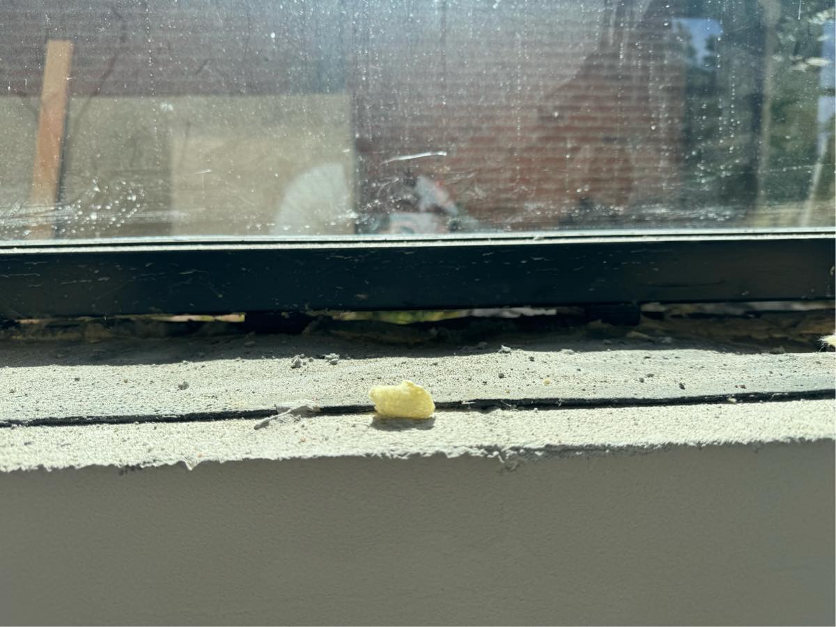 Fugekyndig til Fugning af 7 vinduer indvendig