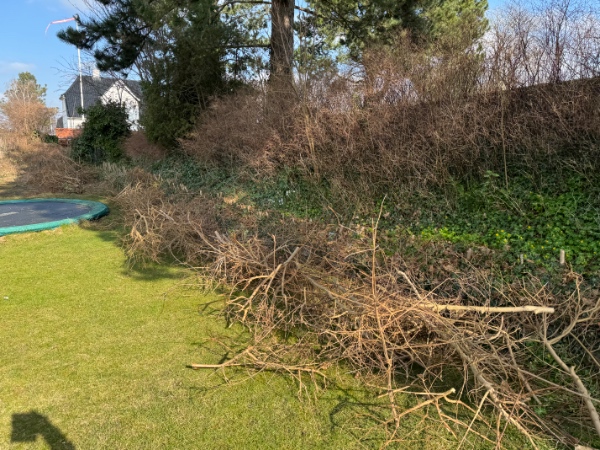 Fjernet haveaffald (inkl. hæk der er skåret ned)