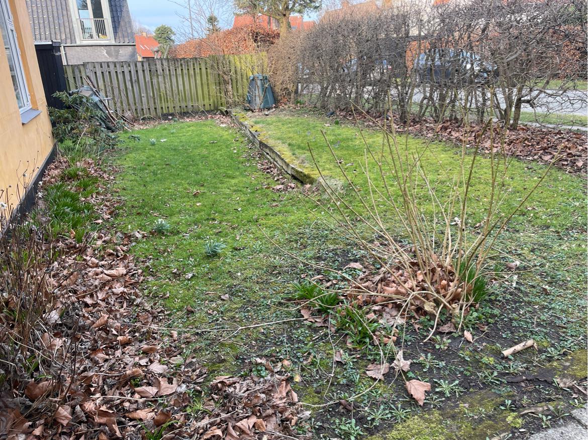 Havearbejde inkl fliserens