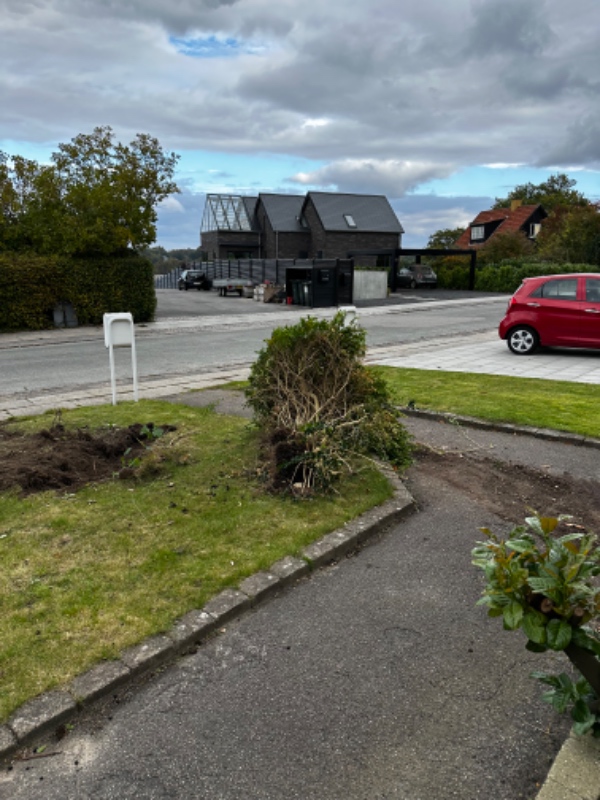 Fjernelse af opgravet buske og træ til genbrugsstation