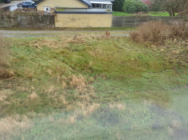 Slåning af græsplæne