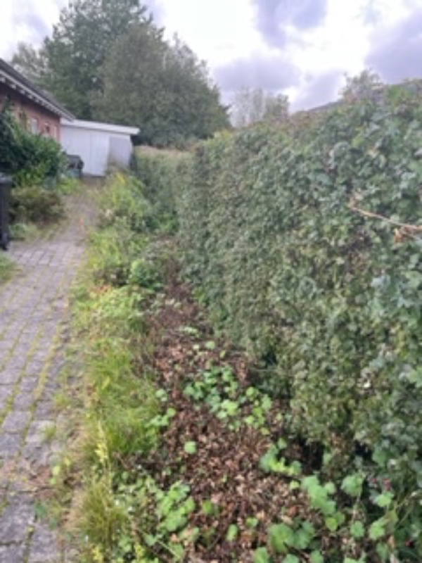 hækklipning fliserens af ukrudt