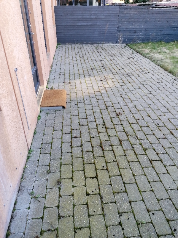 Haveklar: Græsslåning og ukrudtsfjerning