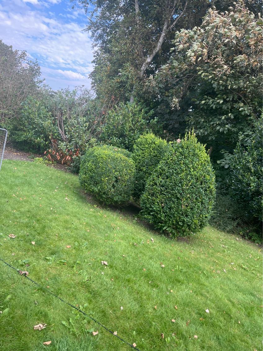 Havearbejde, fjerne ukrudt