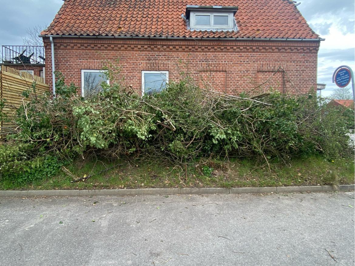 Bortkørsel af træ og grene