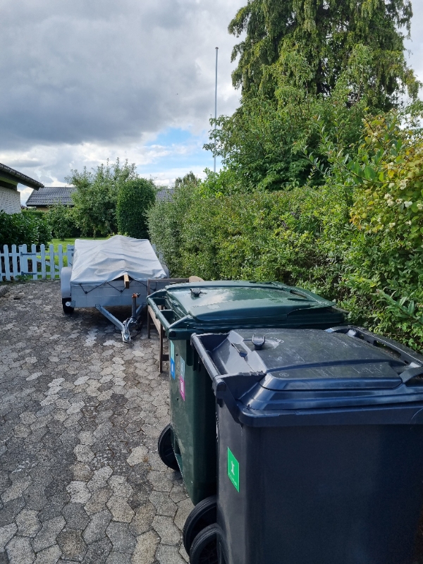 Klippet hæk og trimmet 4 små buske