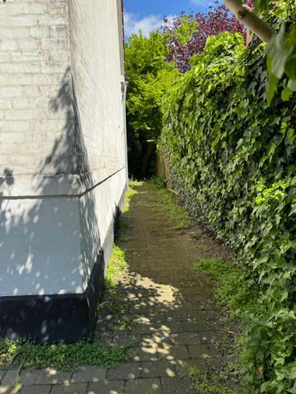 Fjernelse af ukrudt og flisevask