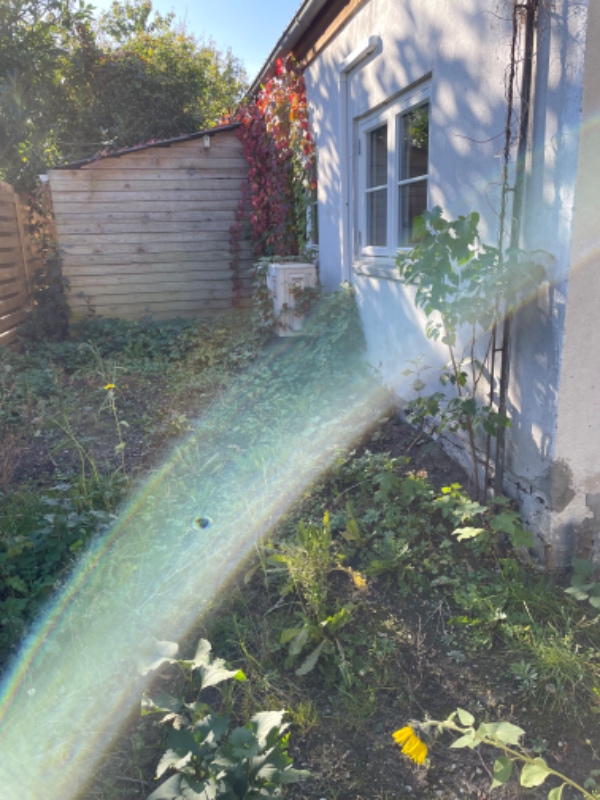 Bygge trykimpregneret teresse på 16 km2 i Kongens lyngby