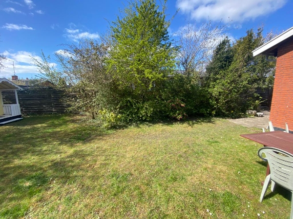 Oprivning af planter og buske