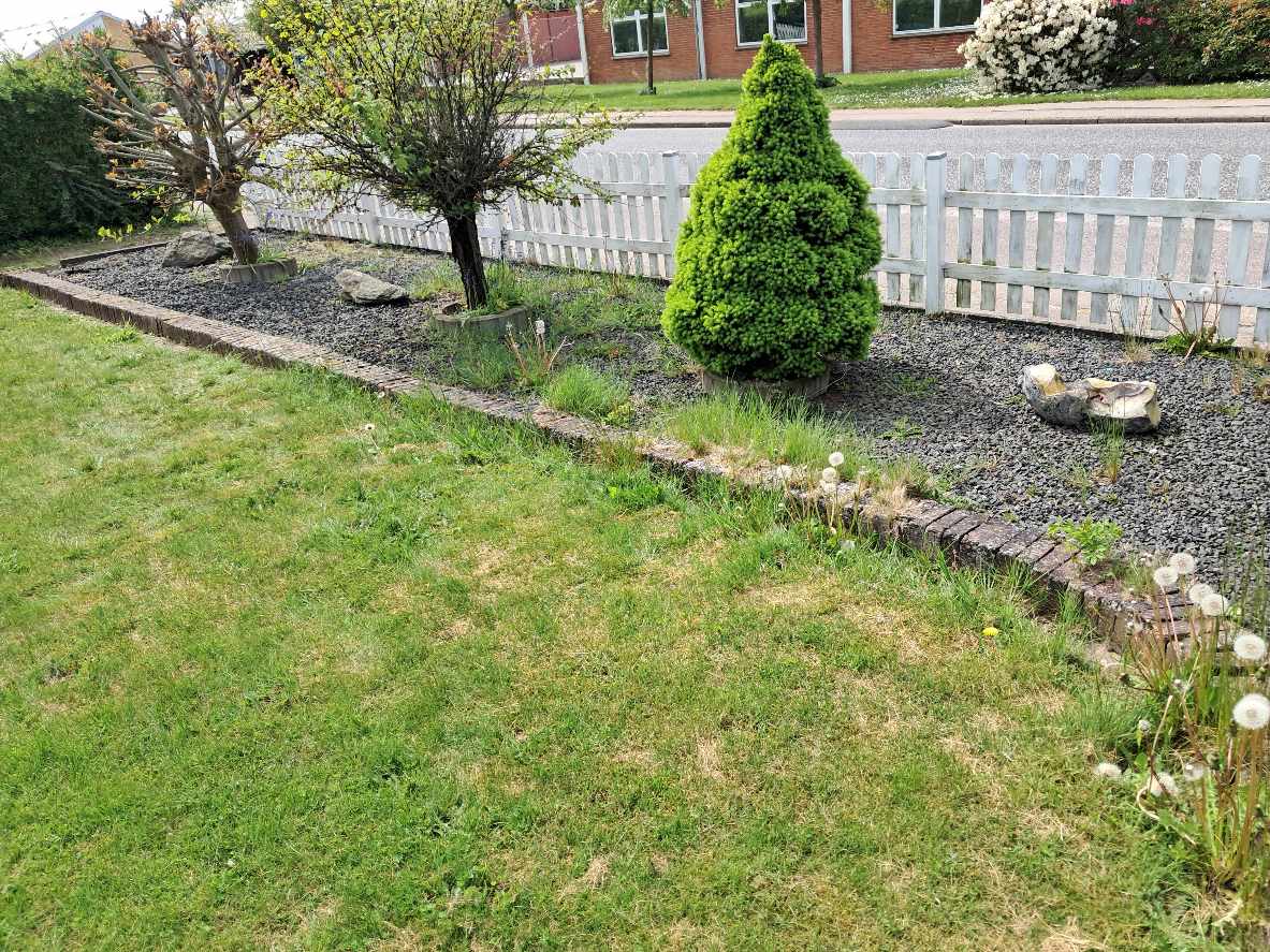 Fjerne ukrudt i skærvebed