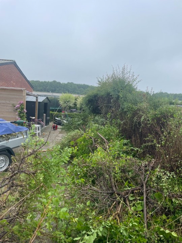 Bortkørsel af haveaffald uge 27