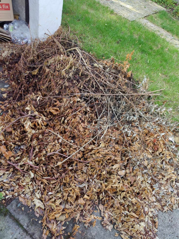 Ting på lossepladsen