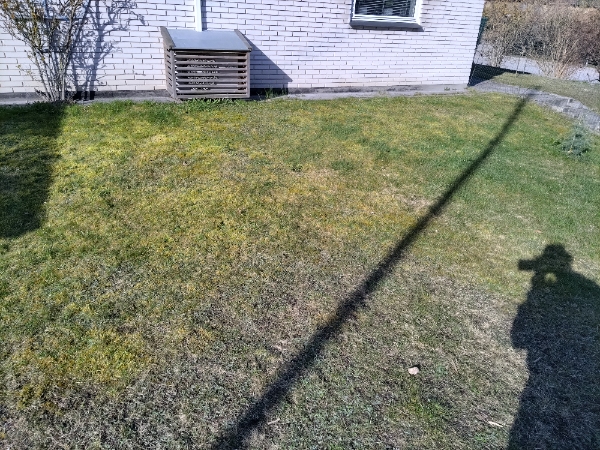 Fræsning af græsplæne