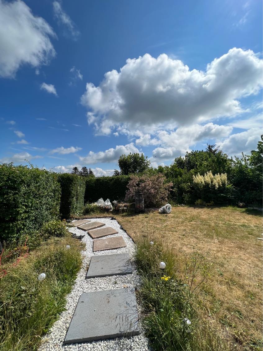 Hæk skal klippes ned til 185