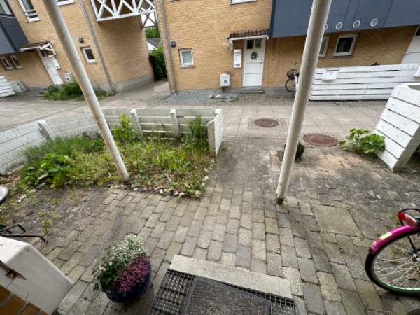 Have og forhave skal ordnes (græs, hæk, bed og ukrudt mellem fliser)