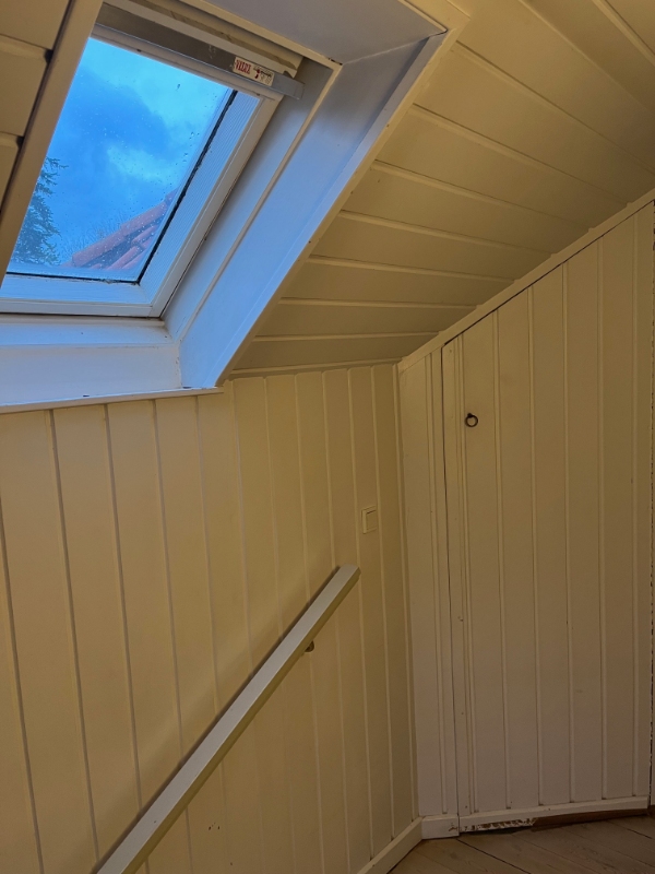 Listetræ på vægge og loft