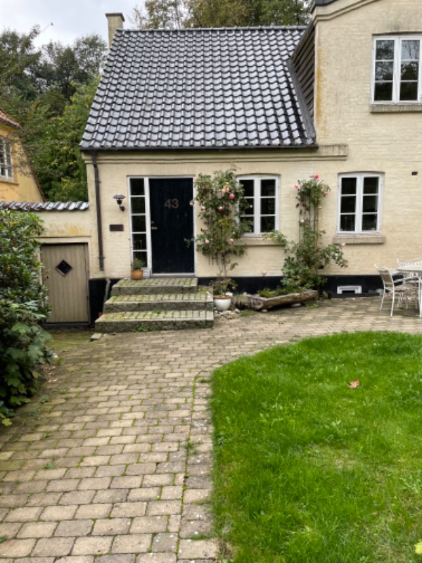 Afrensning af kvist - alger,  blade.. Især træbeklædning på sider. Derpå træbehandling/med Gorilla e