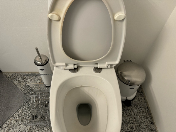 Slibning og oliering af køkkenbord og indkøb og montering af nyt toiletbræt
