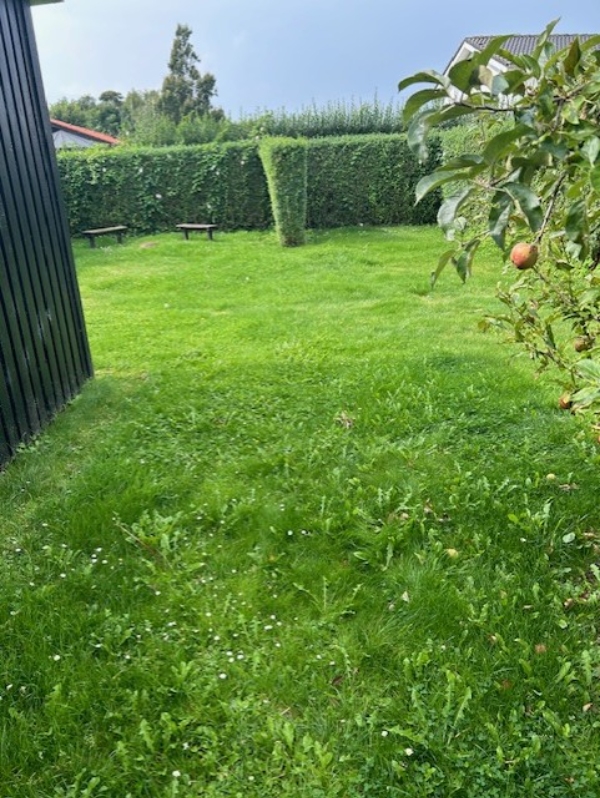 Græsslåning og fjernelse af ukrudt