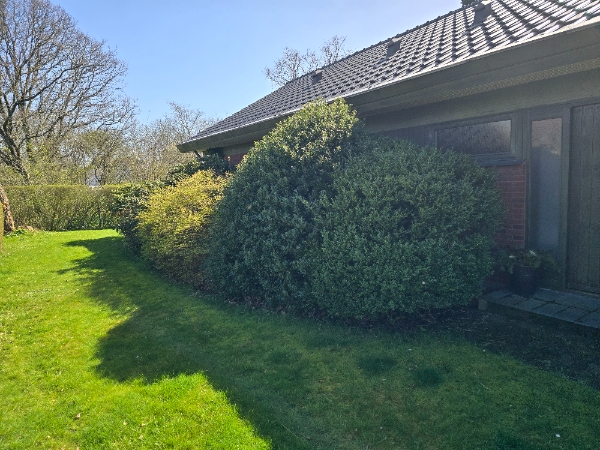 Hækfjernelse og græsslåning