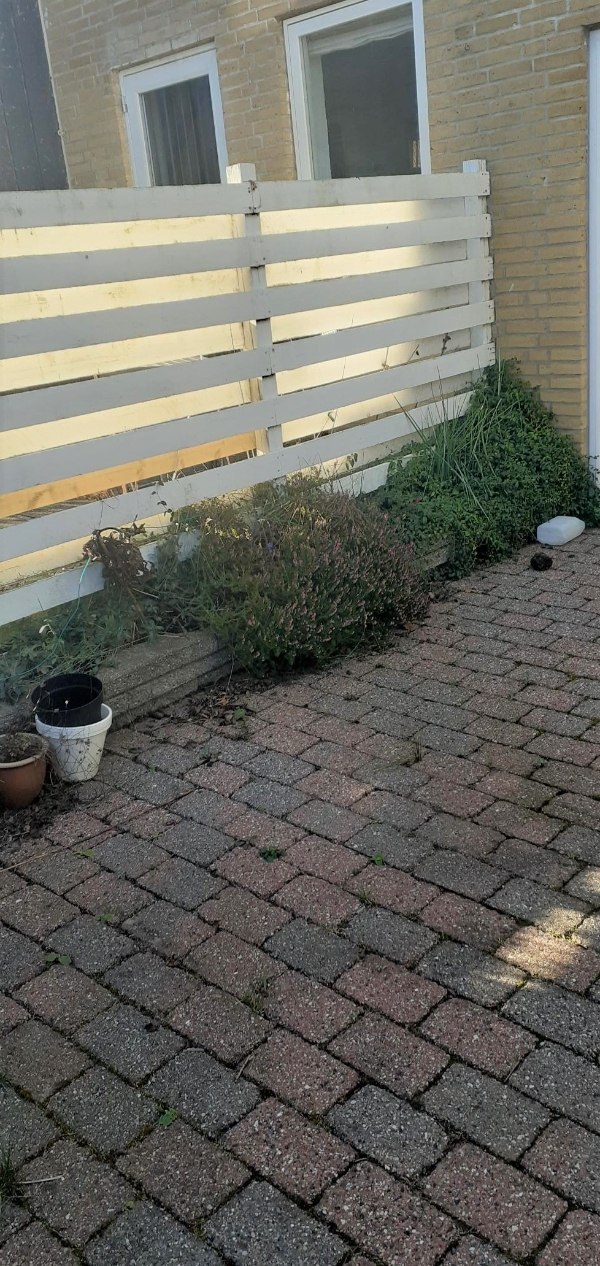 Løbende vedligeholde min "MINI" have