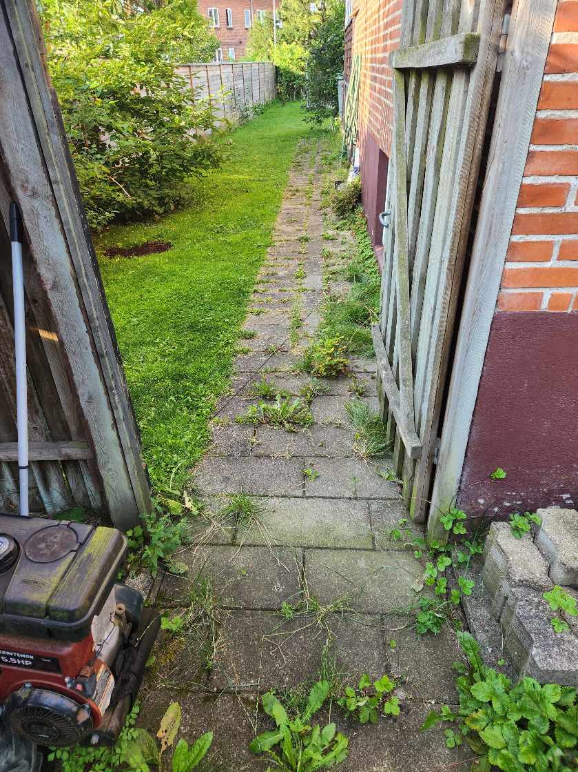 Ukrudt mellem fliser