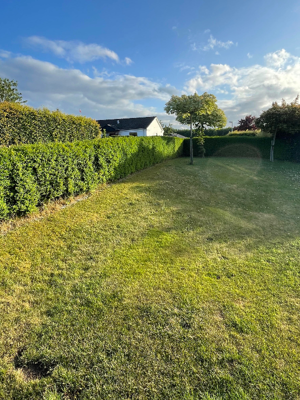 Hækkeklip + Ukrudtfjernselse