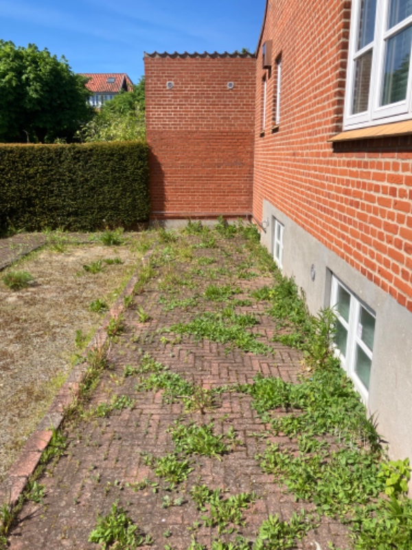 Fjernelse af ukrudt på fortorv