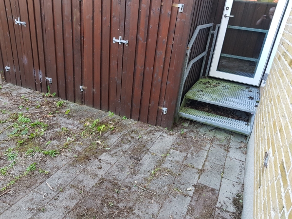 Luge ukrudt i lille baggård