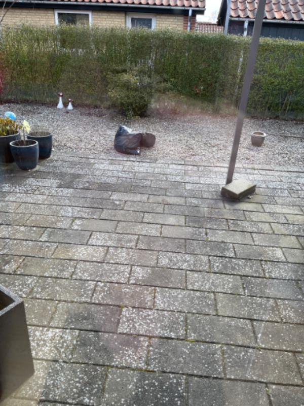 Renset fliser ( flisepest )