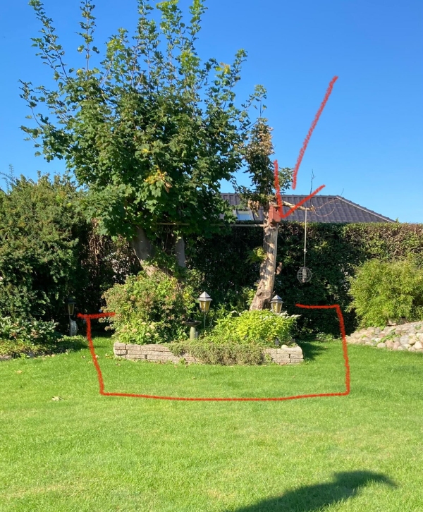 Blomster bed ink. jord, kantfliser og et træ skal fjernes, områdes skal tromles efterfølgende