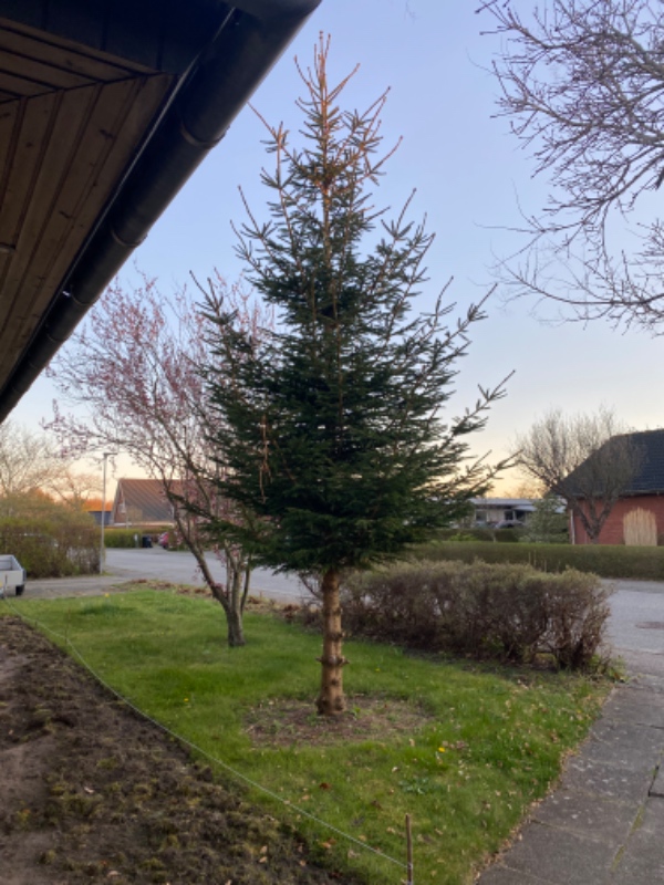 Havearbejde