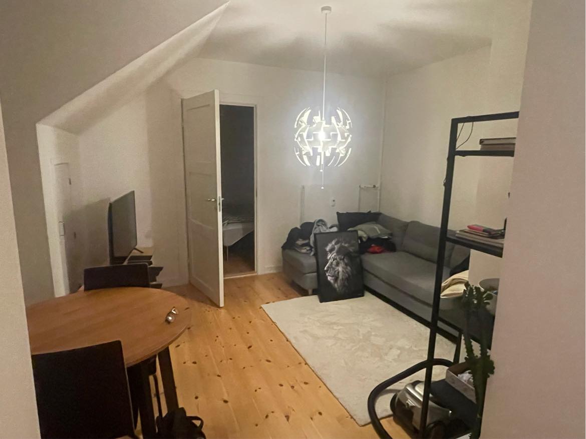 Maling af vægge og loft