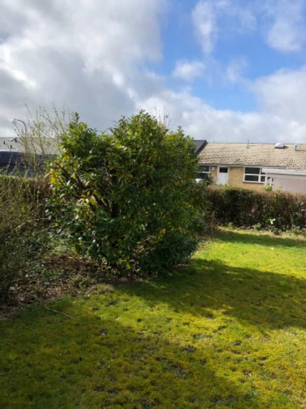 Havearbejde hækklipning ordne bede og slå græs