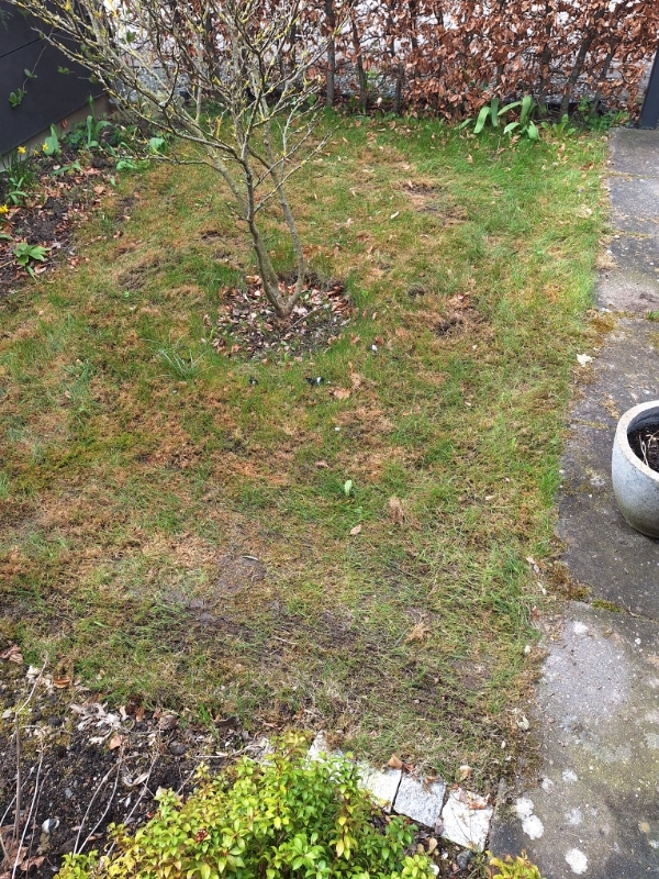 Græsareal på 8 m2 graves op og belægges med IBF Flise modul 30 30x60x6 cm grå.