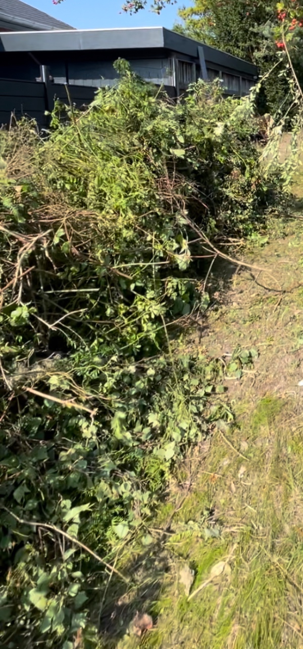 Afhentning og bortskaffelse af haveaffald