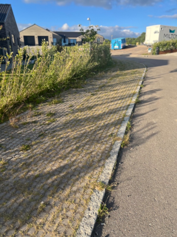 Fjernelse af ukrudt i hæk